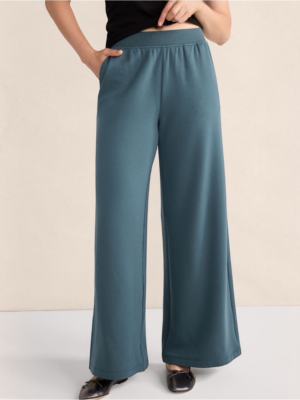 HAVEN WELL WITHIN Wide Leg Fleece Pants Women’s Size Small